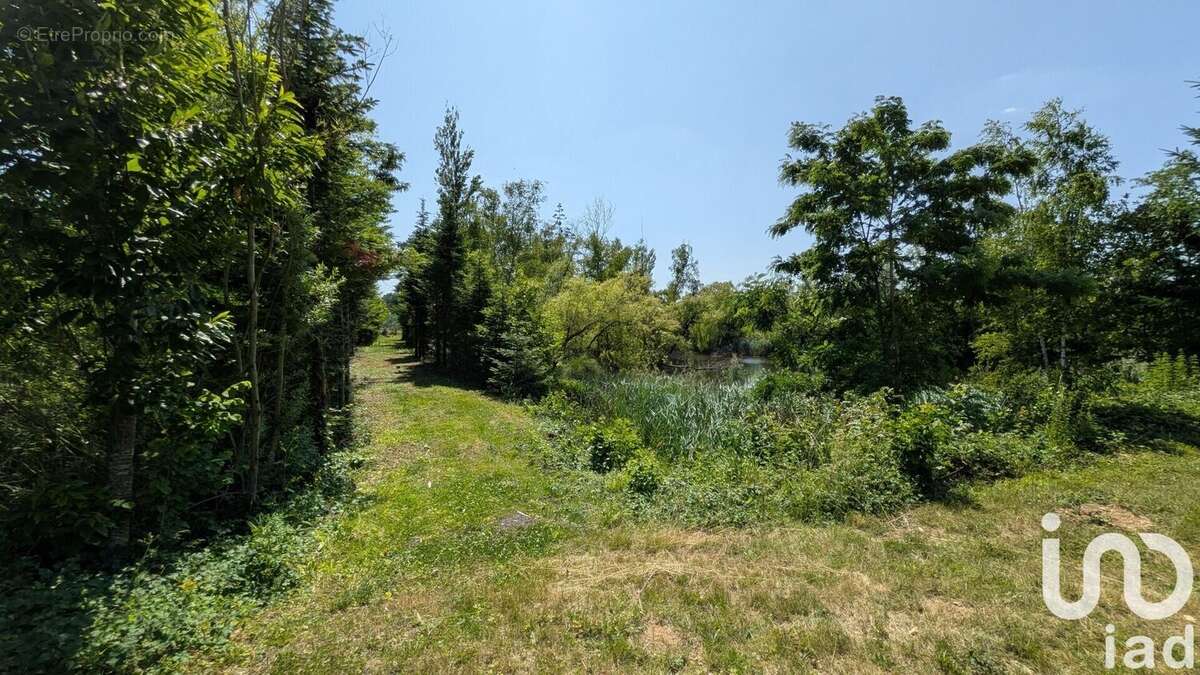 Photo 5 - Terrain à GURGY