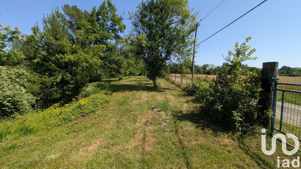Photo 9 - Terrain à GURGY