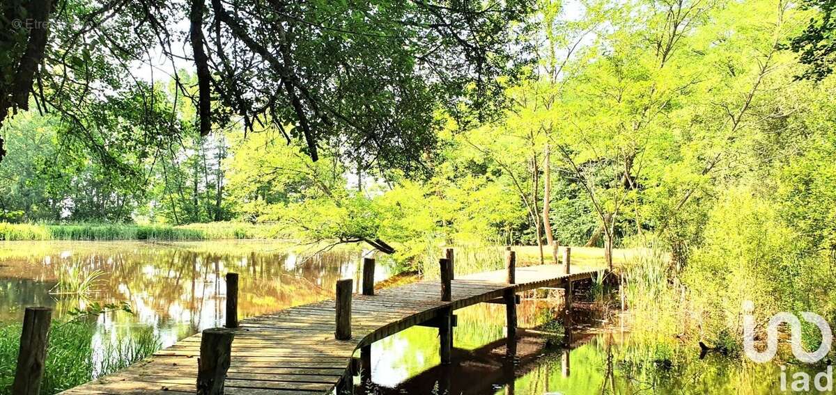 Photo 2 - Terrain à BRIVE-LA-GAILLARDE