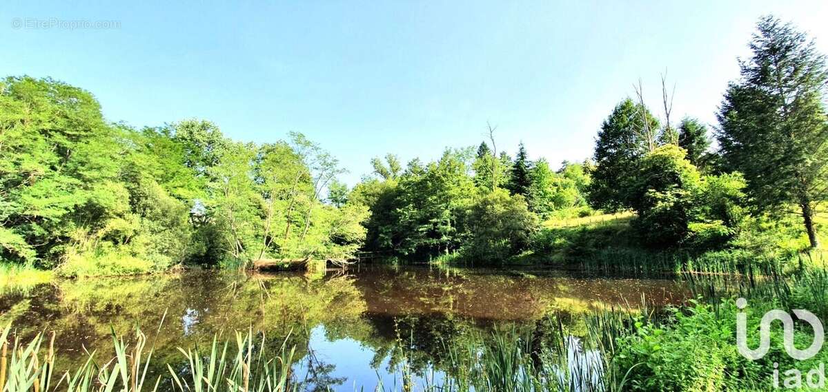 Photo 3 - Terrain à BRIVE-LA-GAILLARDE