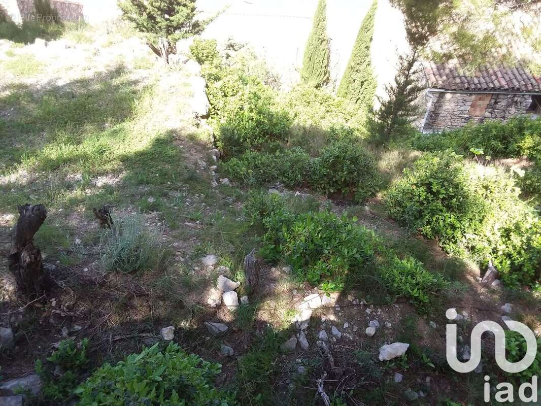 Photo 5 - Terrain à ROQUEFORT-DES-CORBIERES