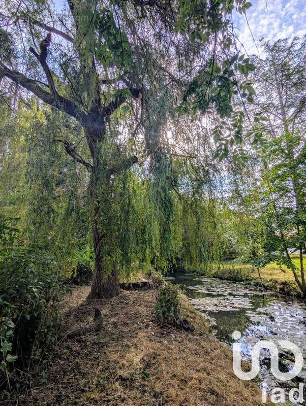Photo 3 - Terrain à LANDES-LE-GAULOIS