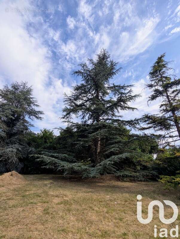 Photo 6 - Terrain à LANDES-LE-GAULOIS