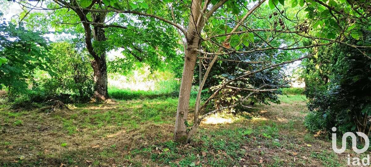 Photo 4 - Terrain à JAZENEUIL