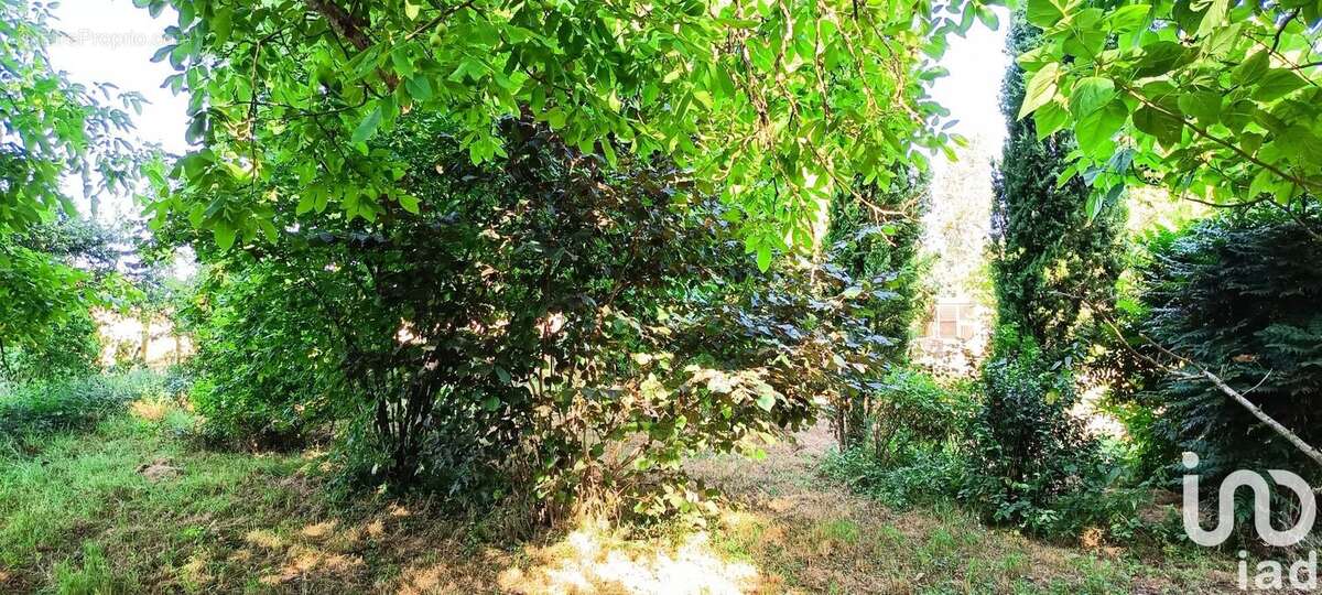 Photo 5 - Terrain à JAZENEUIL