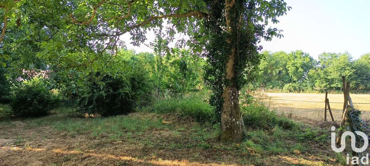Photo 9 - Terrain à JAZENEUIL
