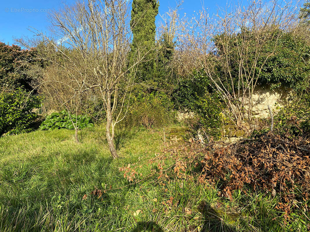 Appartement à CHAUVIGNY