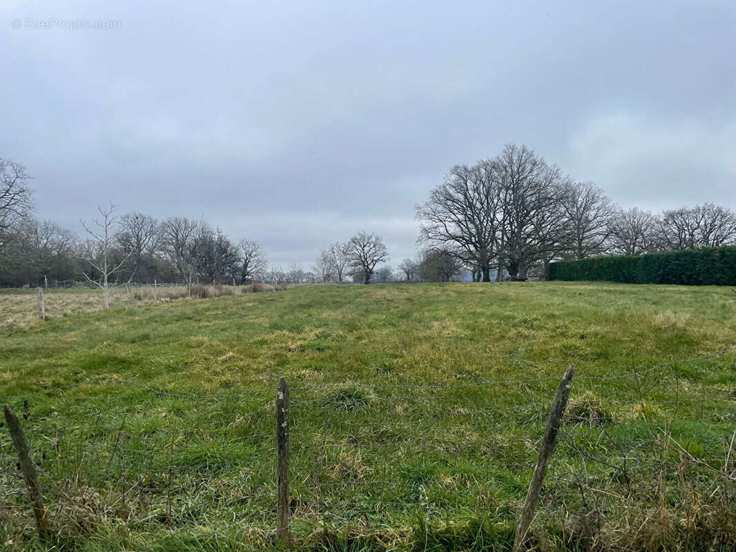 Terrain à PLAISANCE