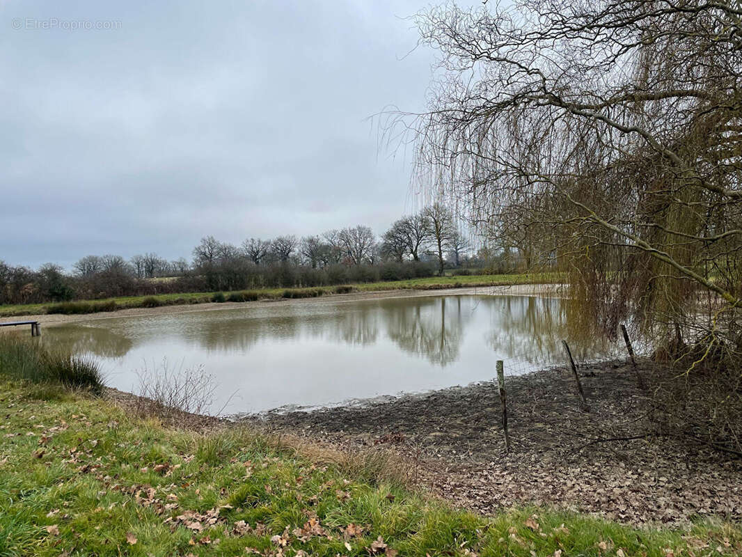 Terrain à PLAISANCE