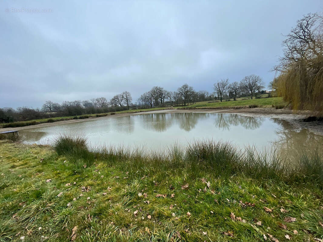 Terrain à PLAISANCE