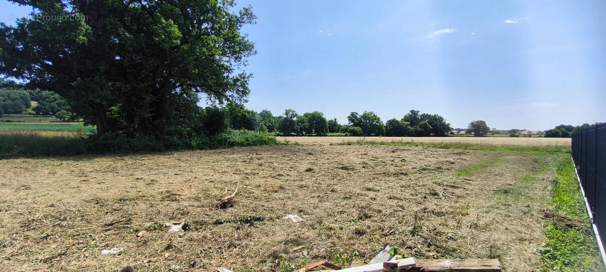 Terrain à AUSSEVIELLE