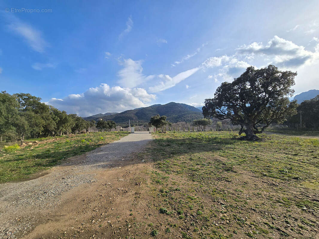 Terrain à ARGELES-SUR-MER