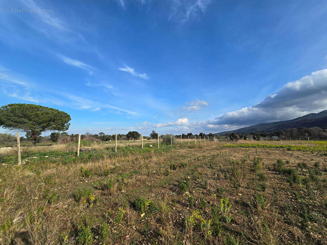 Terrain à ARGELES-SUR-MER