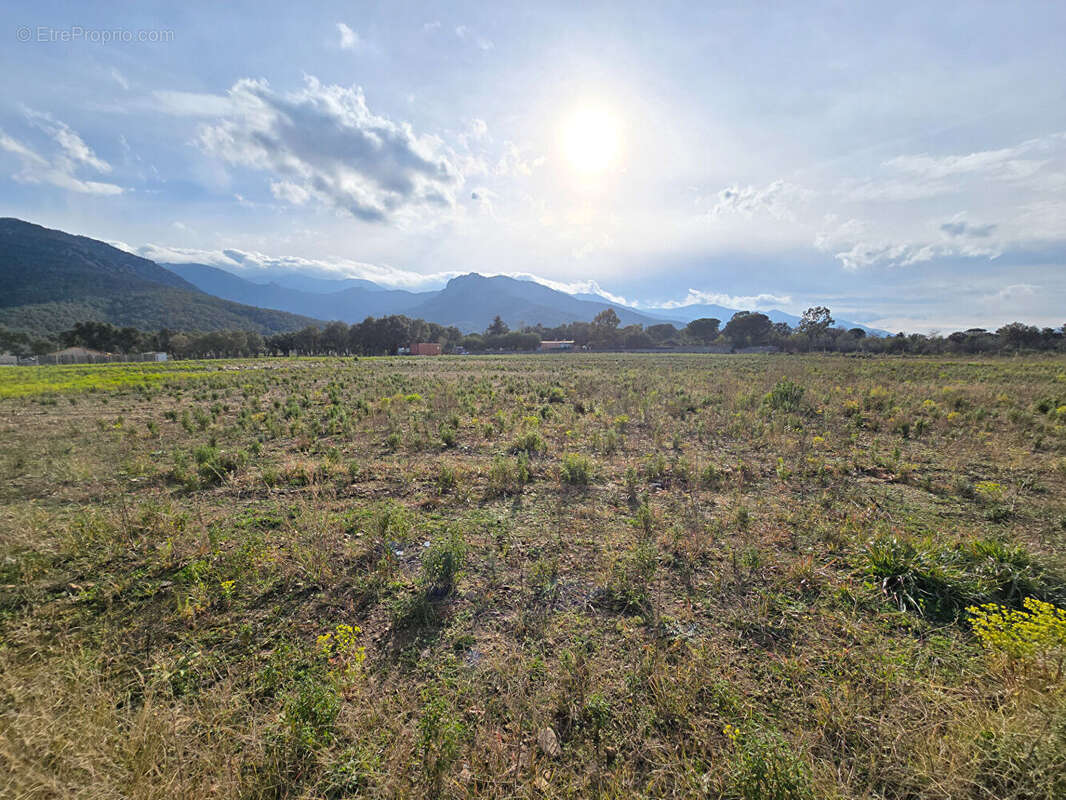 Terrain à ARGELES-SUR-MER