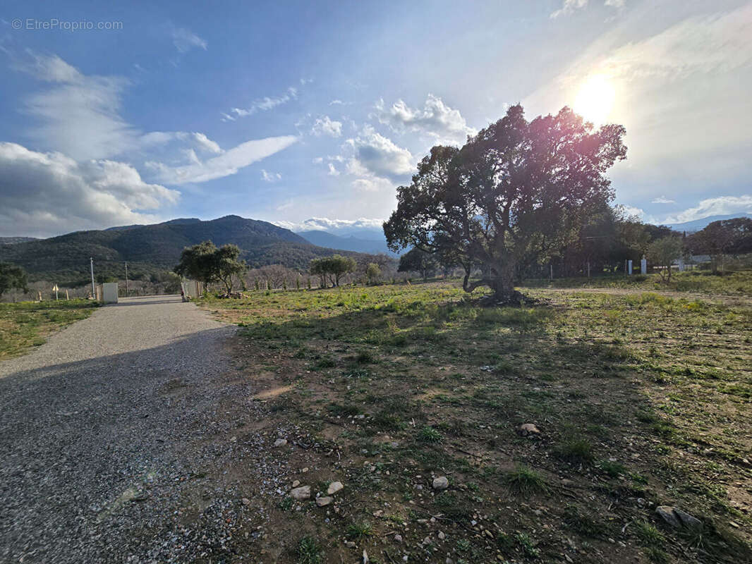 Terrain à ARGELES-SUR-MER