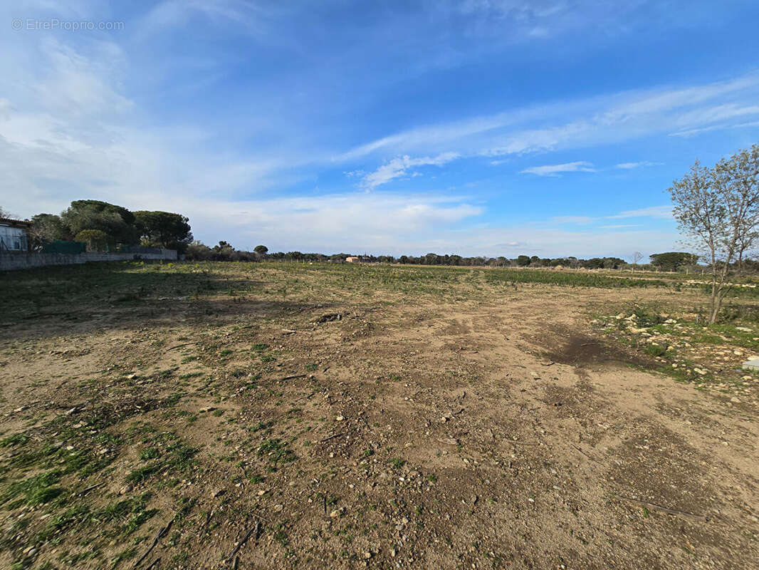 Terrain à ARGELES-SUR-MER