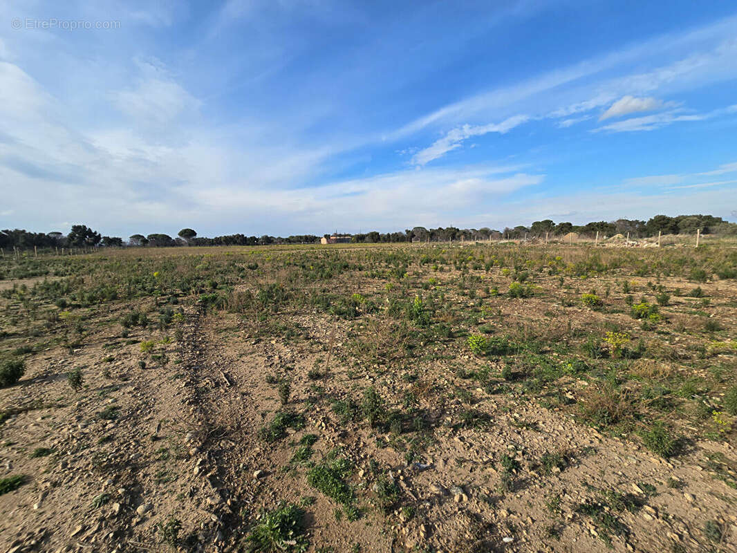 Terrain à ARGELES-SUR-MER