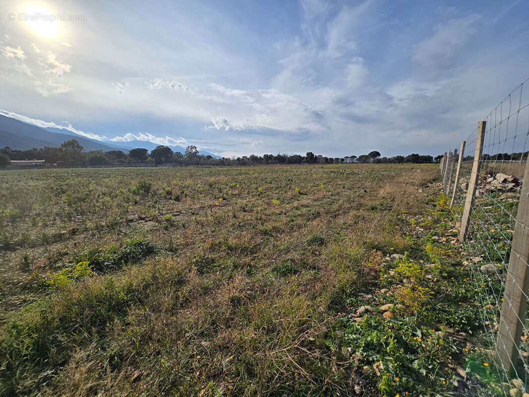 Terrain à ARGELES-SUR-MER