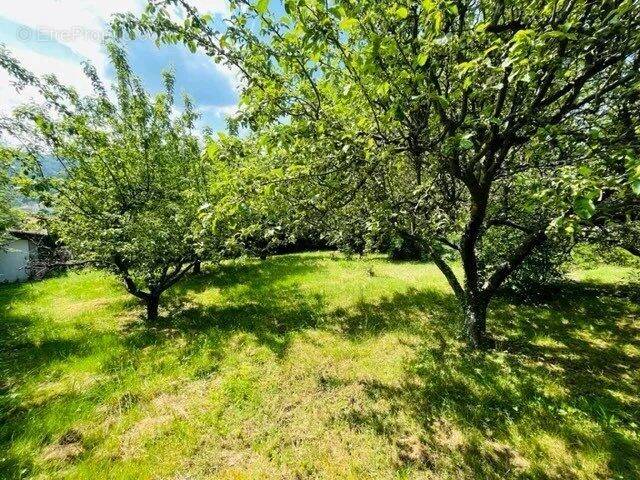 Terrain à AUREC-SUR-LOIRE