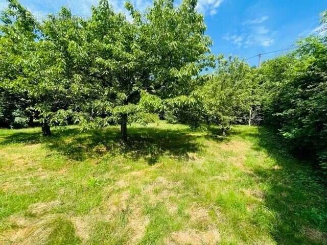 Terrain à AUREC-SUR-LOIRE