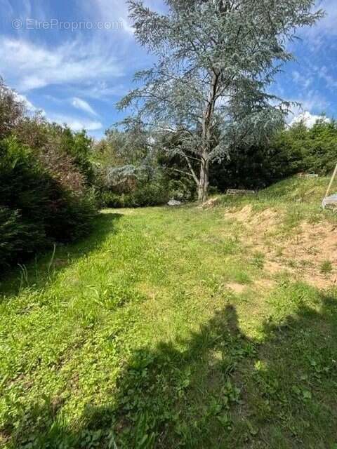 Terrain à AUREC-SUR-LOIRE