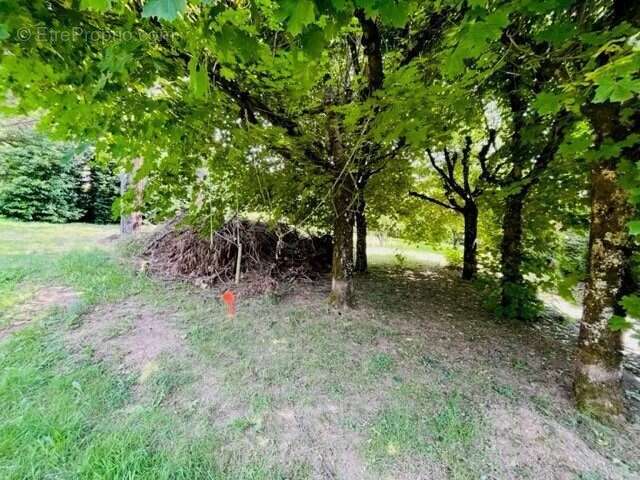Terrain à AUREC-SUR-LOIRE