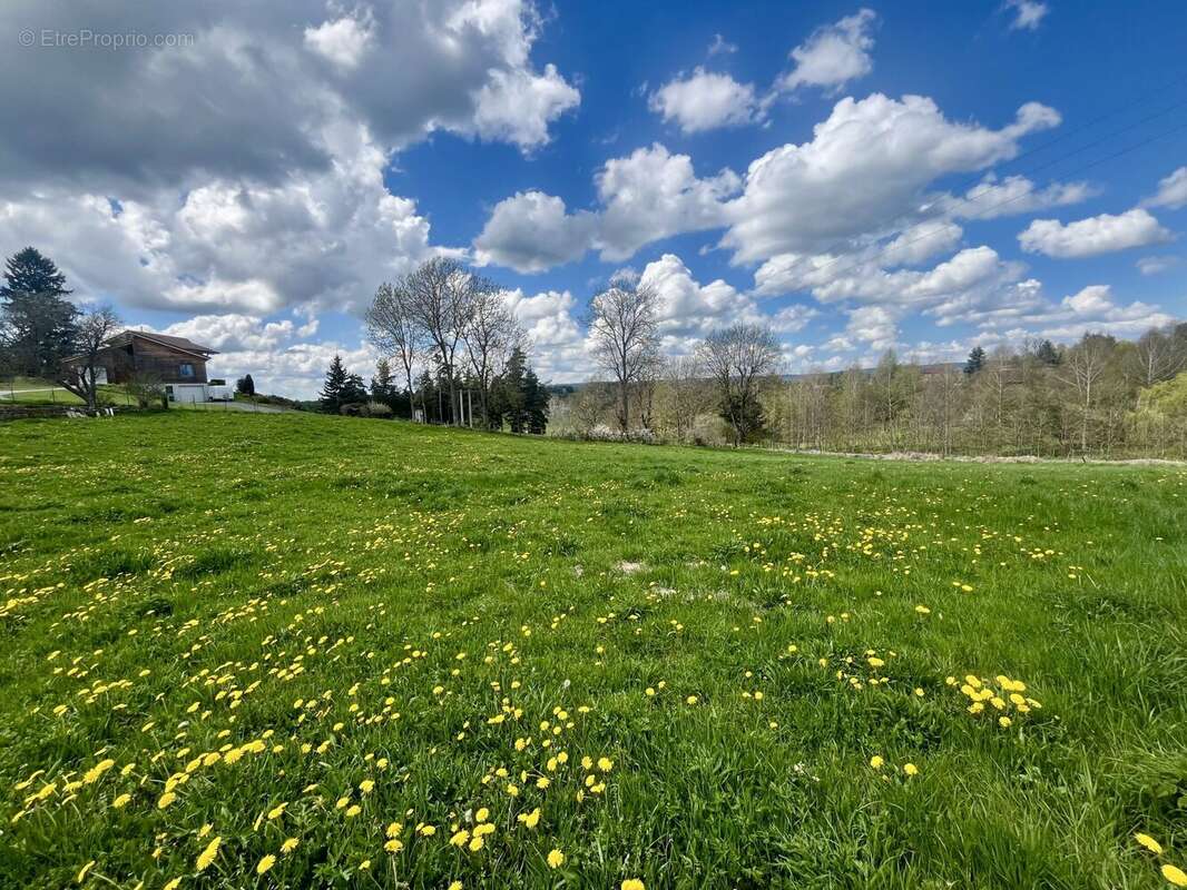 Terrain à USSON-EN-FOREZ