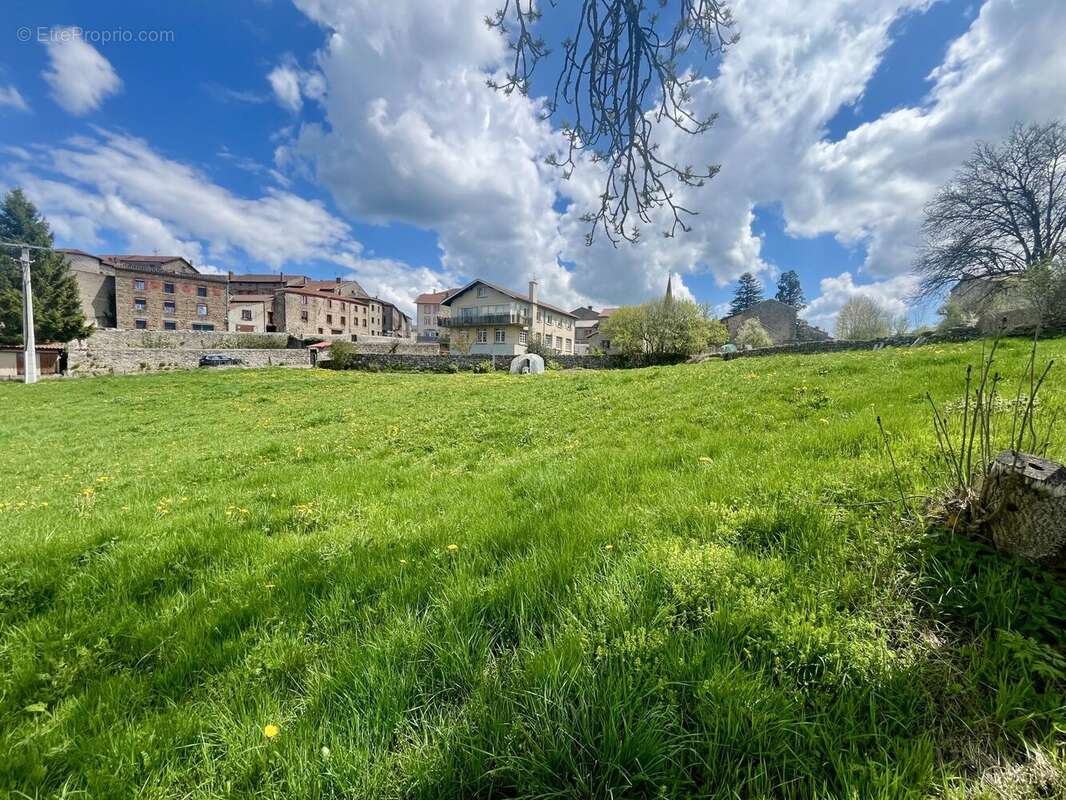 Terrain à USSON-EN-FOREZ