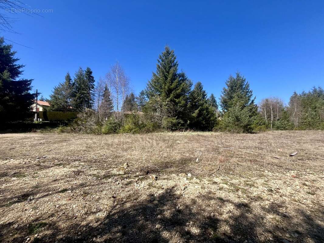 Terrain à USSON-EN-FOREZ