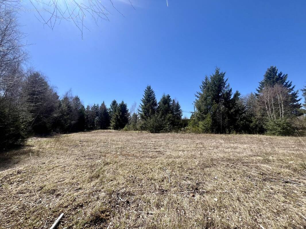 Terrain à USSON-EN-FOREZ
