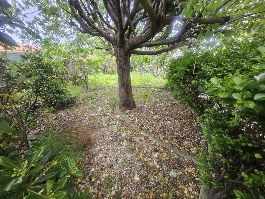 Maison à MARSEILLE-15E