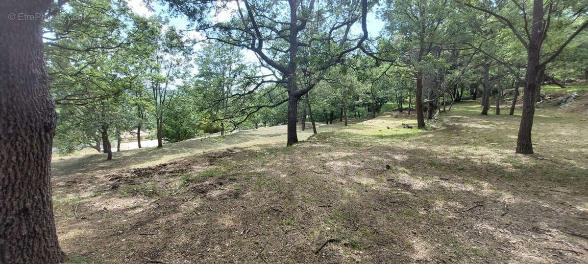 Terrain à SAINT-VALLIER-DE-THIEY