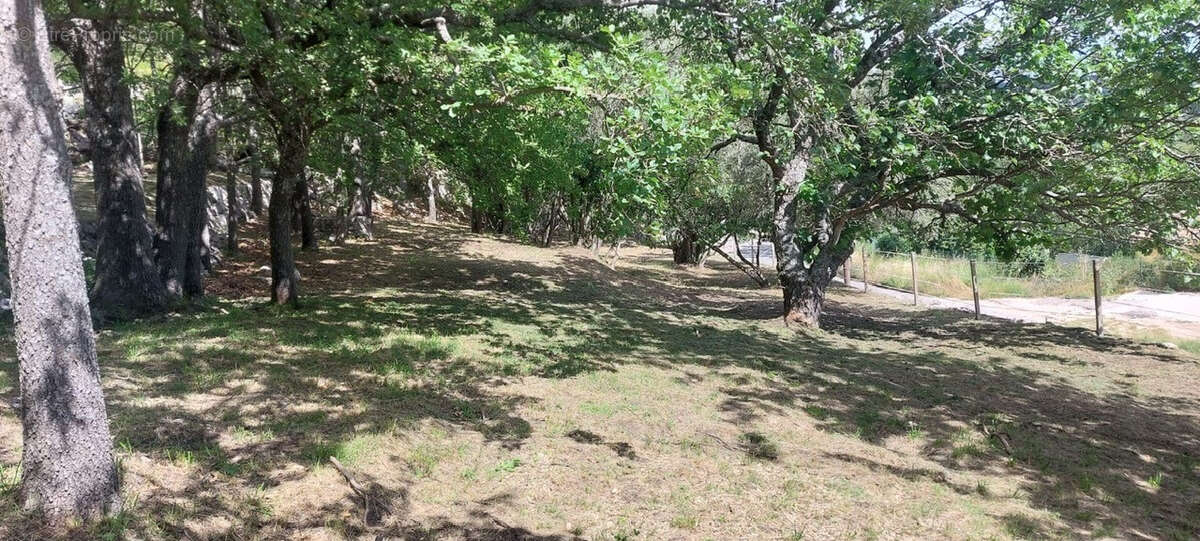 Terrain à SAINT-VALLIER-DE-THIEY
