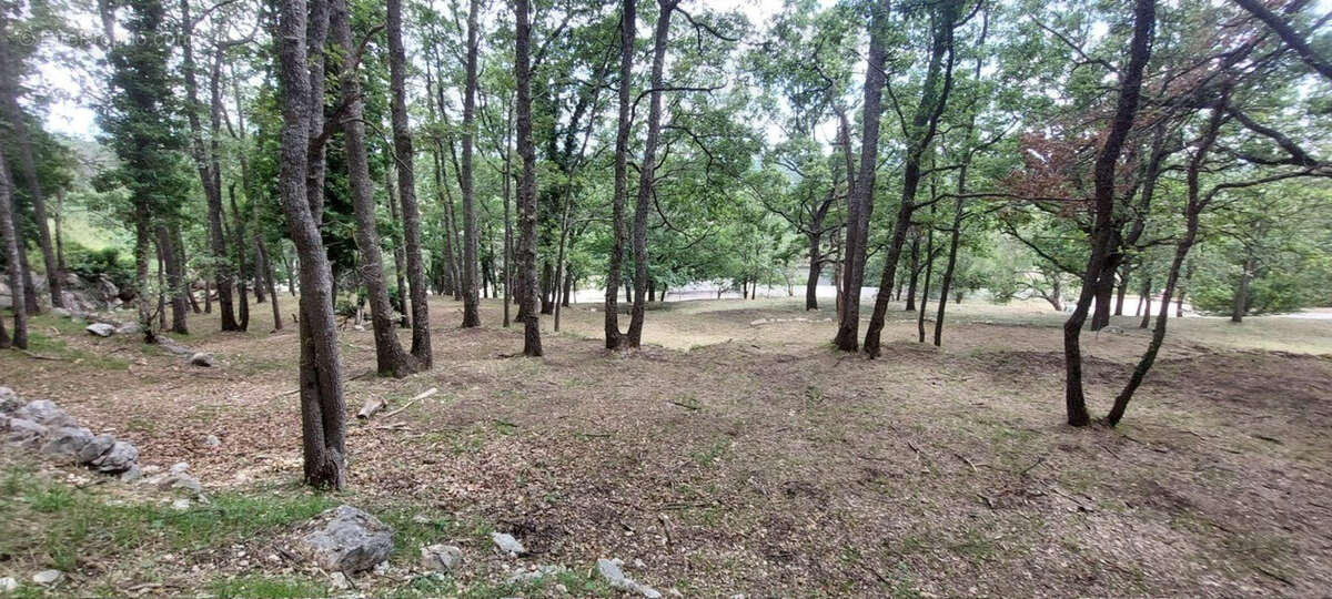 Terrain à SAINT-VALLIER-DE-THIEY