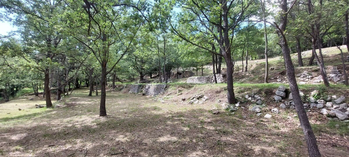 Terrain à SAINT-VALLIER-DE-THIEY