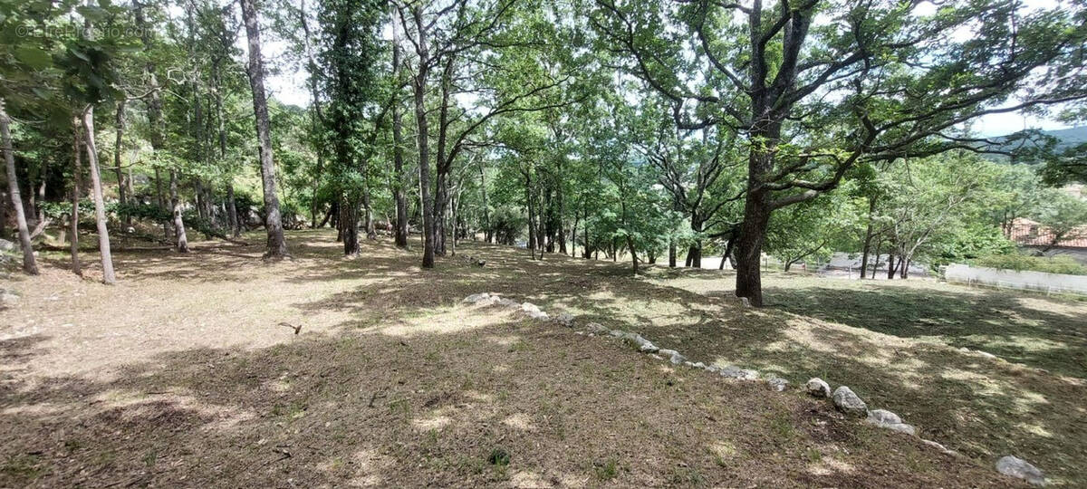 Terrain à SAINT-VALLIER-DE-THIEY