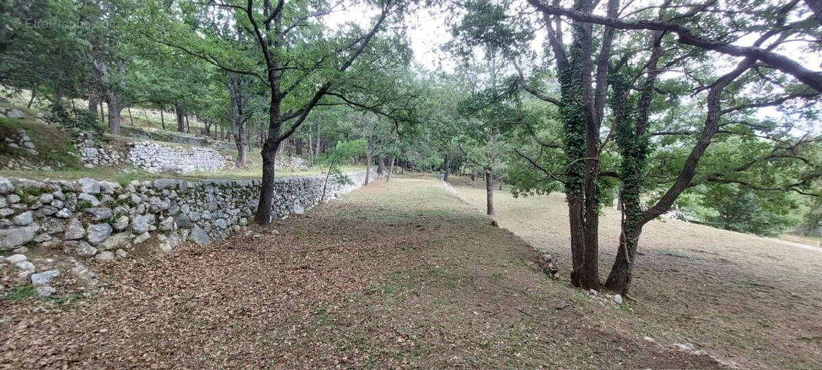 Terrain à SAINT-VALLIER-DE-THIEY