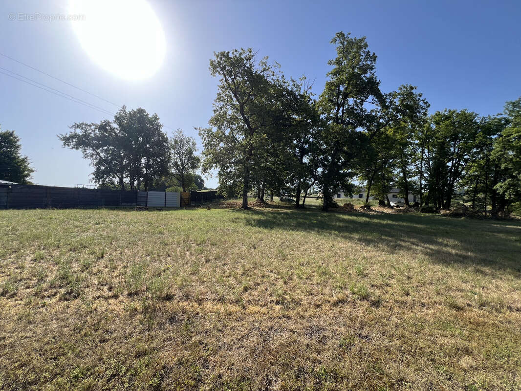 Terrain à TERRASSON-LAVILLEDIEU