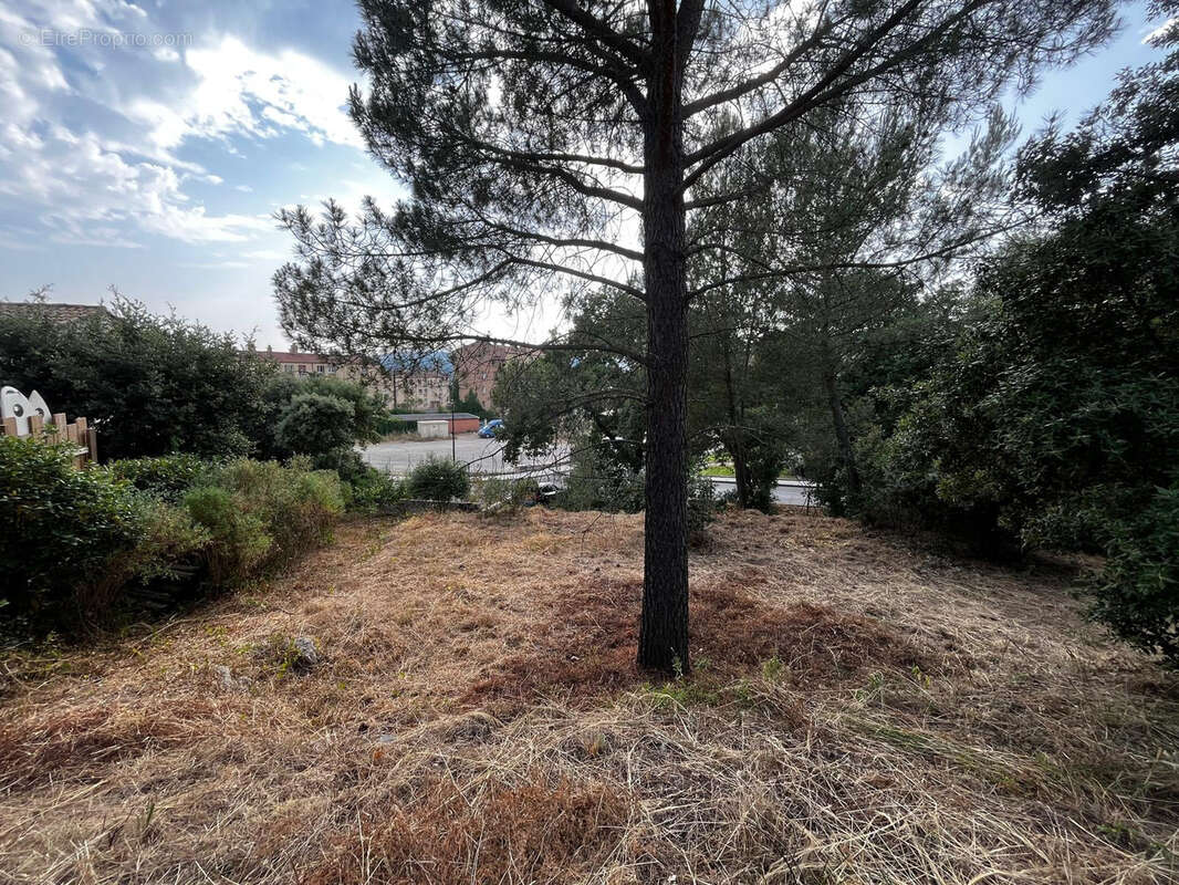 Terrain à PIERREFEU-DU-VAR