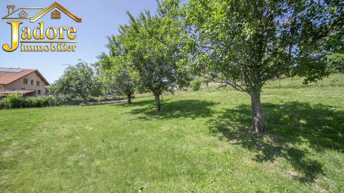 Appartement à FRAIZE