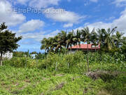 Terrain à LE TAMPON