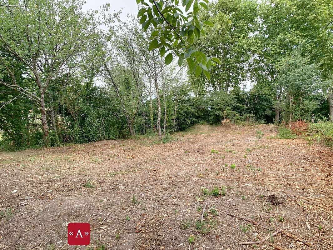 Terrain à BESSIERES