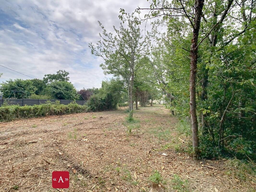 Terrain à BESSIERES