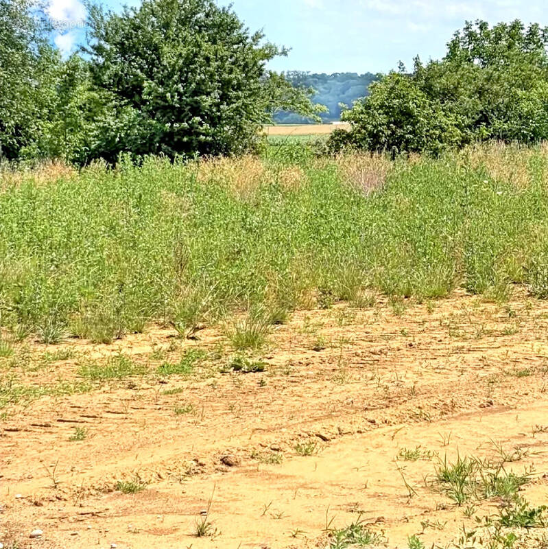 Terrain à PFULGRIESHEIM