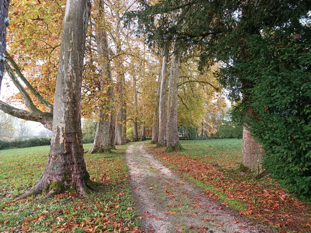 Maison à BAIGNES-SAINTE-RADEGONDE