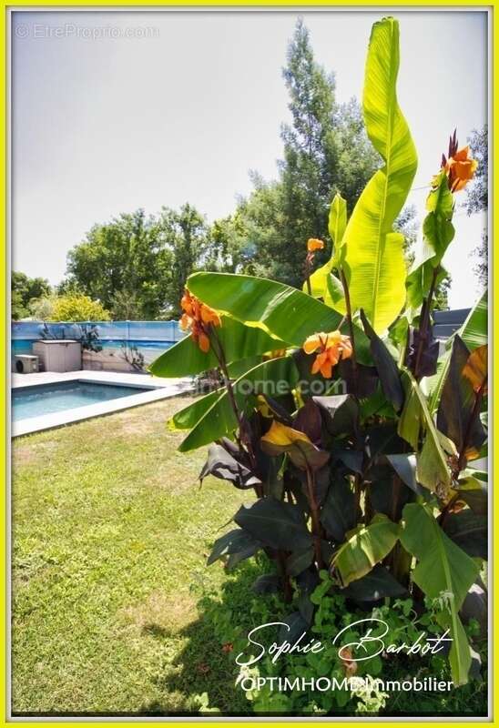 Maison à GUJAN-MESTRAS