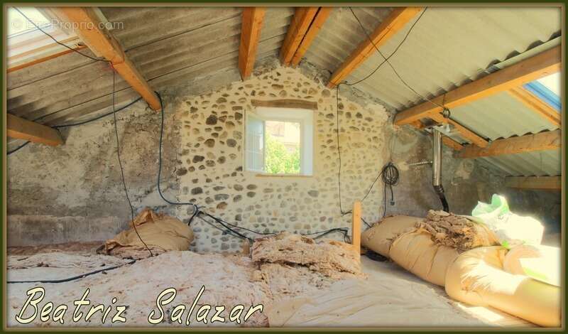 Maison à SAINT-JULIEN-D'ASSE