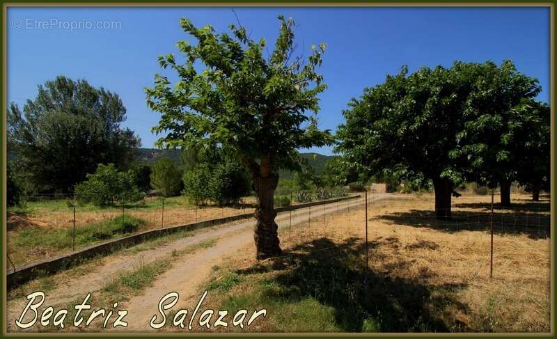 Maison à SAINT-JULIEN-D'ASSE