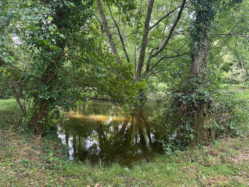 Maison à LABASTIDE-D&#039;ARMAGNAC