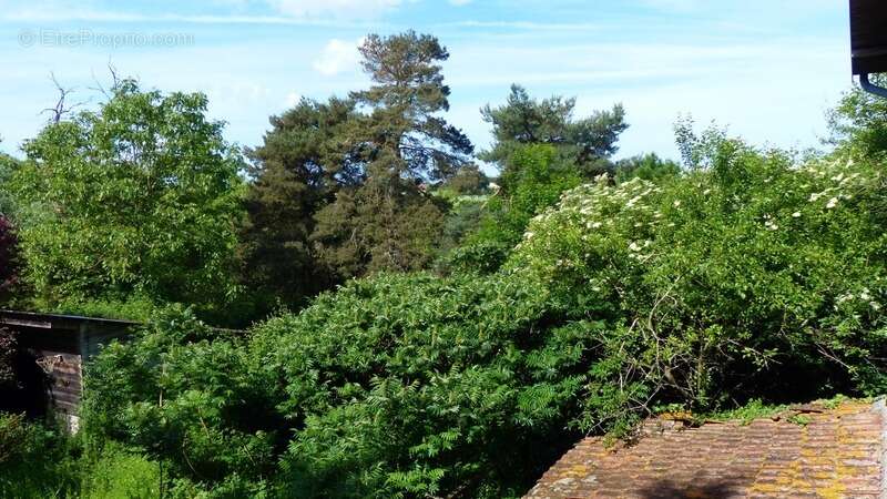 Maison à LES ESSARDS-TAIGNEVAUX
